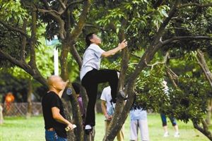 暴力採摘 暴力採摘