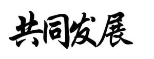 共同發展 共同發展