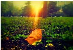 一葉落&middot;一葉落