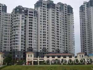 中房觀湖國際 中房觀湖國際