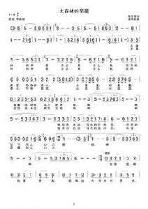 大森林的早晨 大森林的早晨