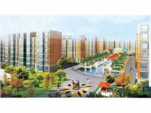 新合鑫睿智禧園 新合鑫睿智禧園