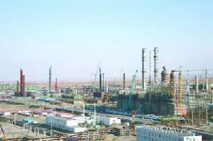 獨山子石化公司