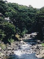 天城湯島溫泉 天城湯島溫泉