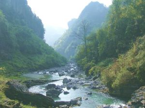 大沙河自然保護區 大沙河自然保護區