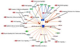 ipa[通路分析軟體]