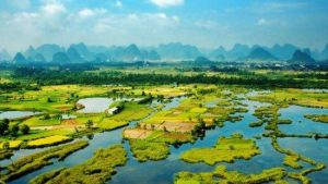 桂林會仙濕地 桂林會仙濕地