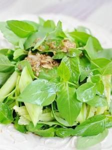 荊芥拌黃瓜 荊芥拌黃瓜