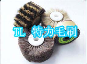 安徽省潛山縣特力制刷廠