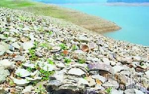 汀溪窯址 汀溪窯址