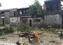 餘蔭山房[廣州市番禺區園林]