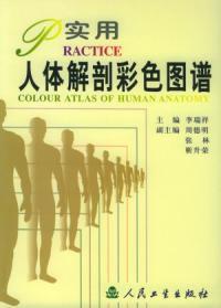 實用人體解剖彩色圖譜 實用人體解剖彩色圖譜