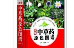 精編中草藥原色圖譜 精編中草藥原色圖譜