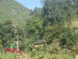 黃土坡自然村 黃土坡自然村