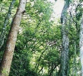 練民新村 練民新村