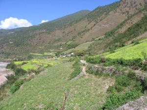 麻莊坪村 麻莊坪村