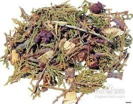 溫腎清肺湯 溫腎清肺湯