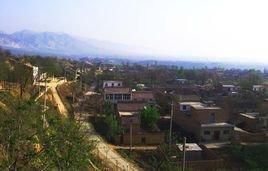 灣里王村 灣里王村