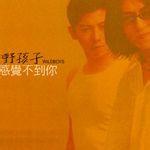 最美[羽泉音樂專輯]