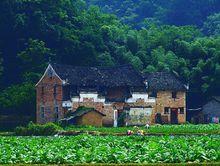 秀水狀元村掠影2