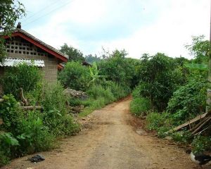 布丙自然村 布丙自然村