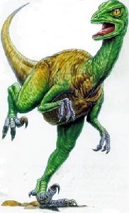 傷齒龍類復原圖