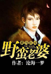 我的韓國野蠻老婆 我的韓國野蠻老婆