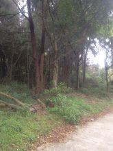 平潭海島國家森林公園