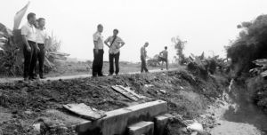 跨區排毒 跨區排毒