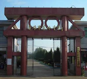 楚雄市蒼嶺中學 楚雄市蒼嶺中學