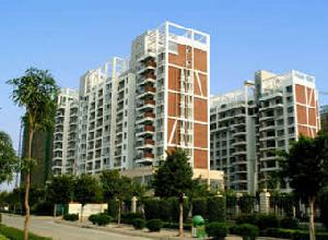 水岸假日 水岸假日