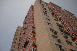 團結湖北五條 團結湖北五條