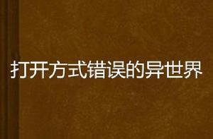 打開方式錯誤的異世界 打開方式錯誤的異世界