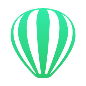 Timer運動 Timer運動