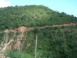 南直村委會 南直村委會