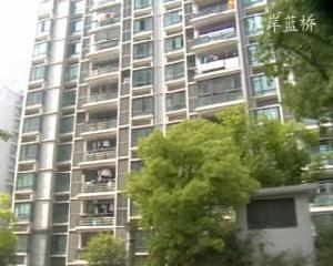 大華水岸藍橋一期至三期 大華水岸藍橋一期至三期