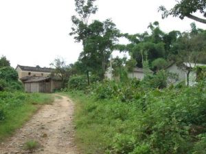 崗防自然村 崗防自然村