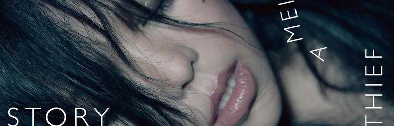 偷故事的人[張惠妹2017年音樂專輯]