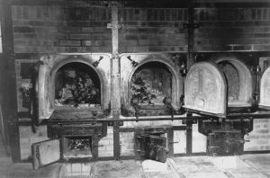 納粹德國集中營 納粹德國集中營