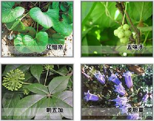 本溪經濟技術開發區