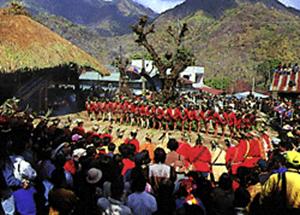 （圖）小米收穫祭