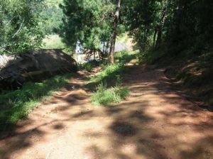 楊家登自然村 楊家登自然村