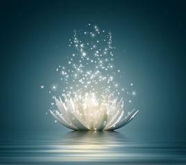 I'm A Loser I'm A Loser