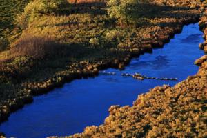珍寶島濕地國家級自然保護區