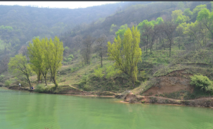 鯨魚溝自然風景區