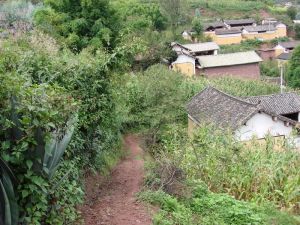 阿波自然村 阿波自然村