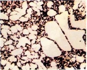 光學金相顯微術