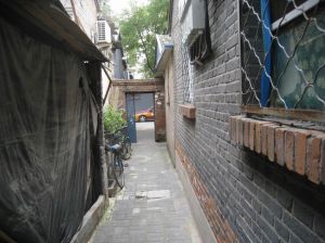 頭髮胡同 頭髮胡同