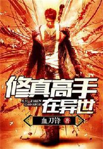 修真高手在異世 修真高手在異世