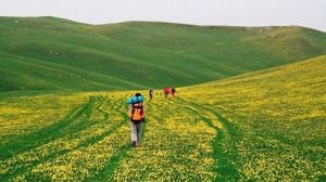 喀拉竣草原 喀拉竣草原